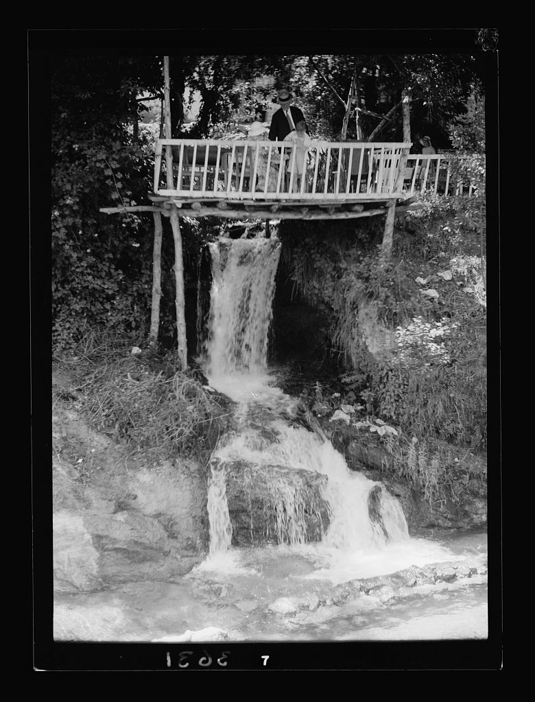 water and green bw Mireille Raad Blog