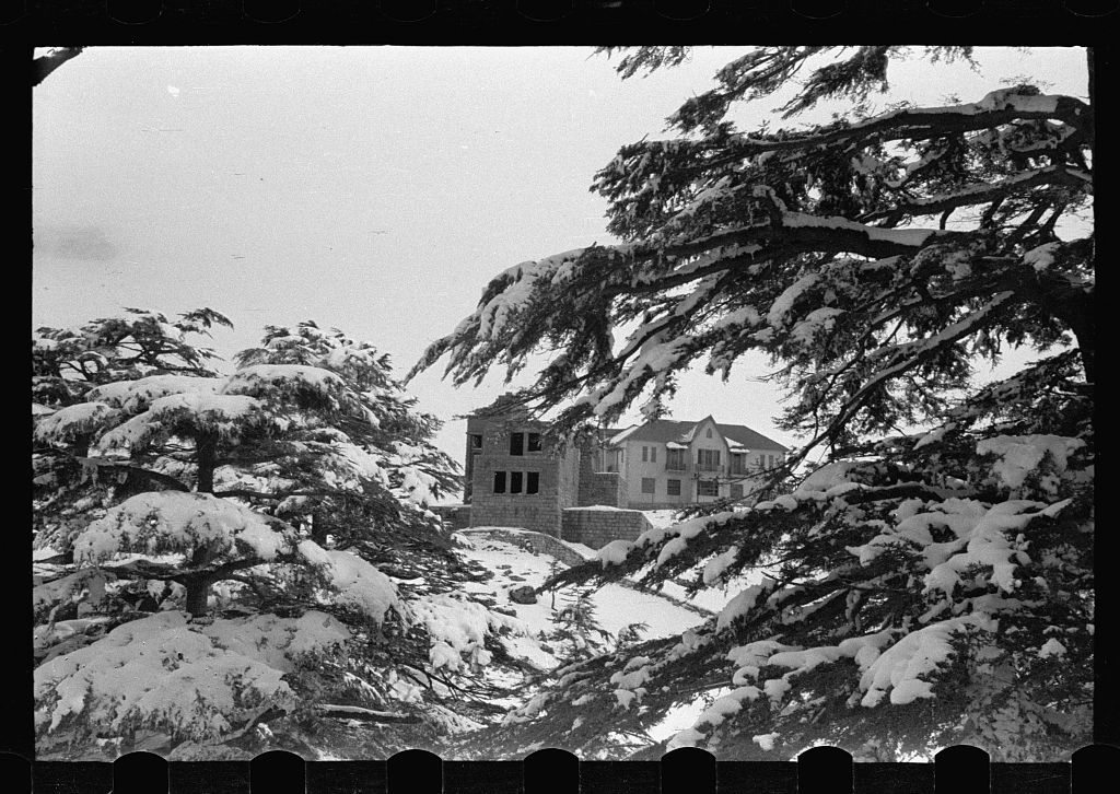 trees and house bw Mireille Raad Blog