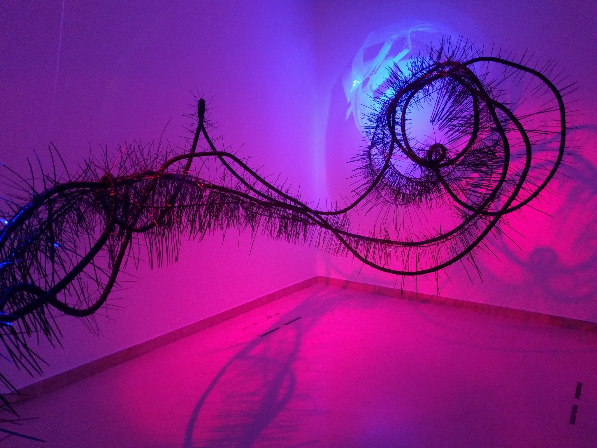 Mireille Raad - Museum - art - worm