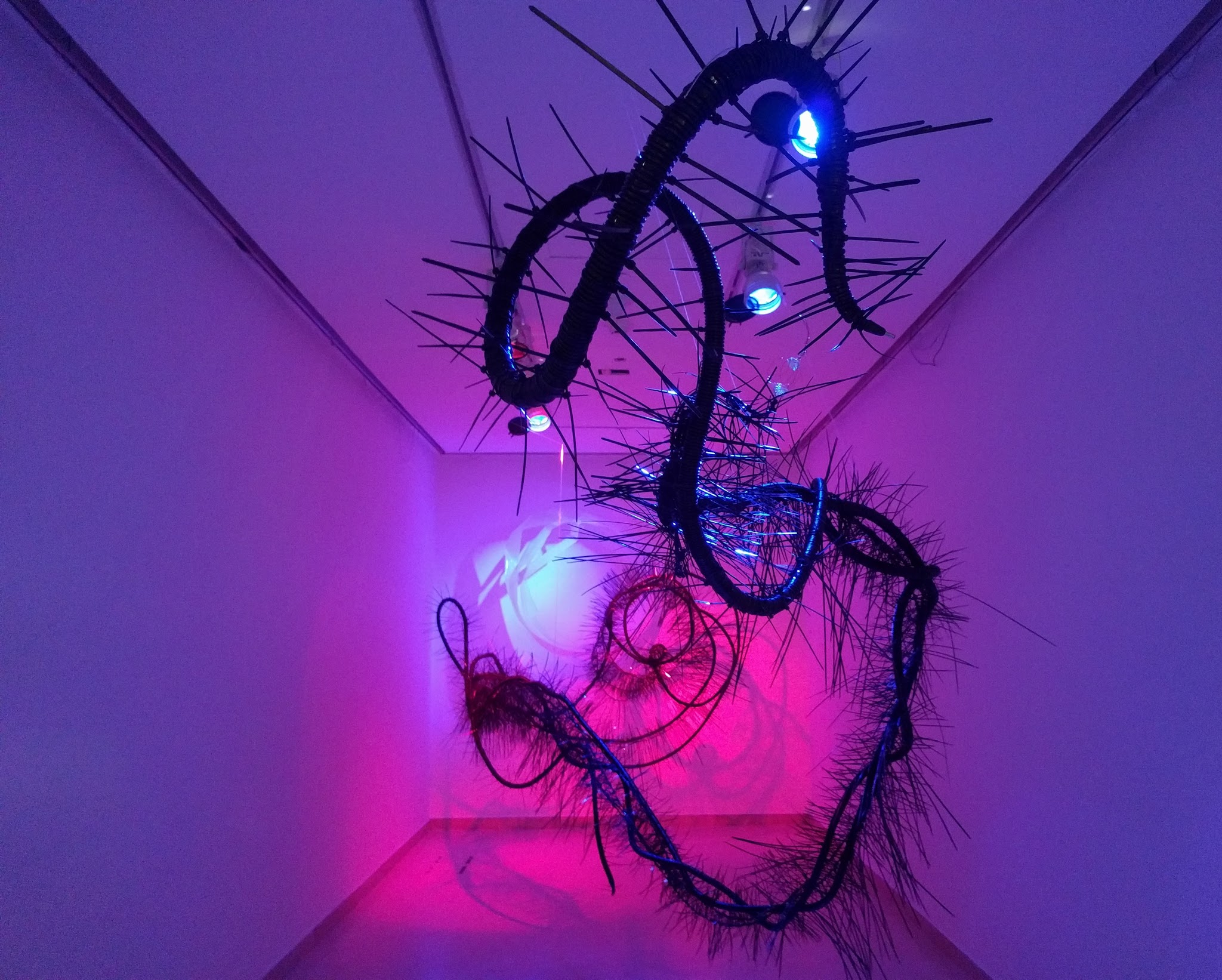 Mireille Raad - Museum - art - worm